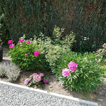 아파트 Feriendomizil Nahe Der Ostsee
